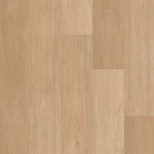 Therdex Click Chevron  Serie C12041 Therdex Click Chevron  Serie C12041