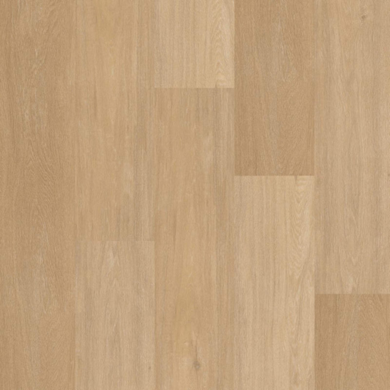 Click Chevron  Serie C12041