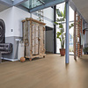 Lijmstrook Barnet Natural Oak 8513