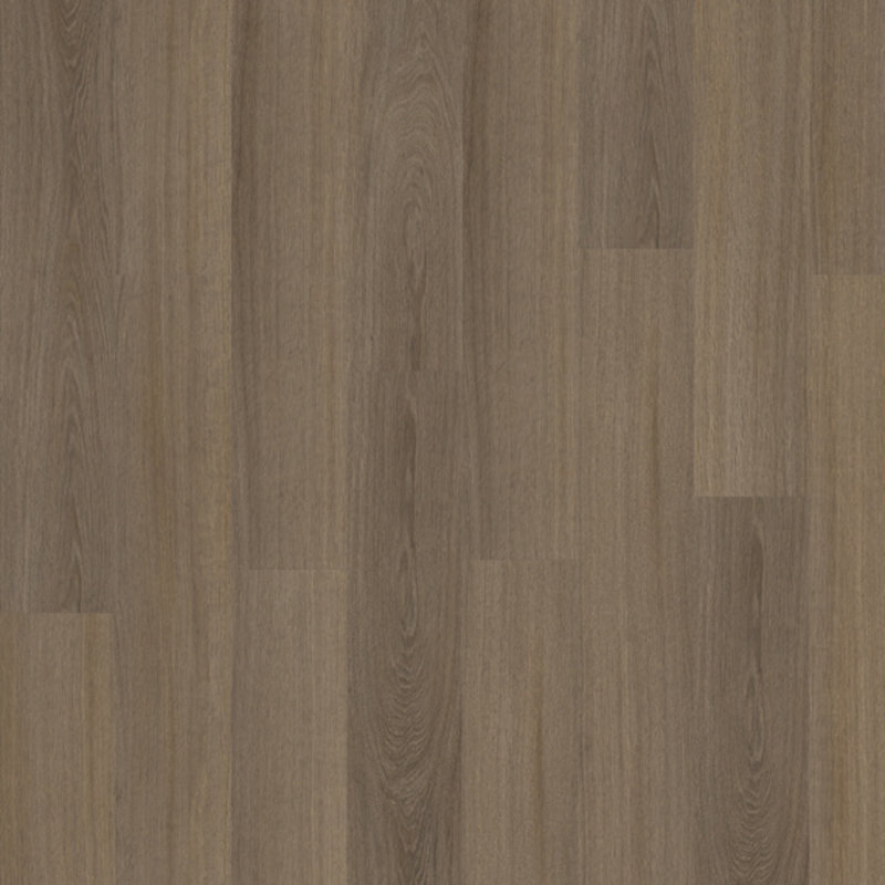 Lijmstrook Roots 55 Glyde Oak Large 22877