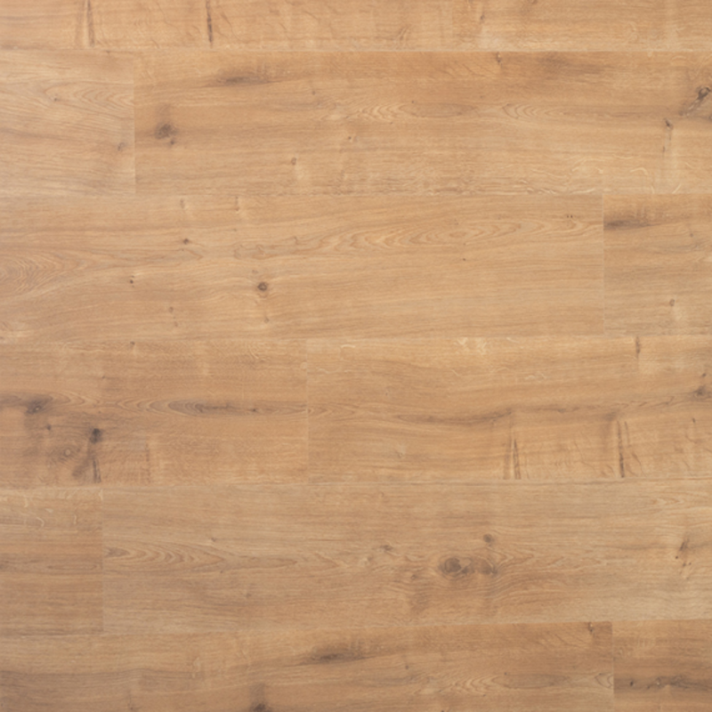 Spontaan Saffraan 4950