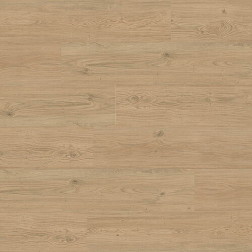 Aspecta Lijmstrook Essentials GD30 Ridge Oak Silver Plank GD3020PL66106