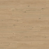 Click Excellence IC55 Throne XL Plank IC5580PL40402