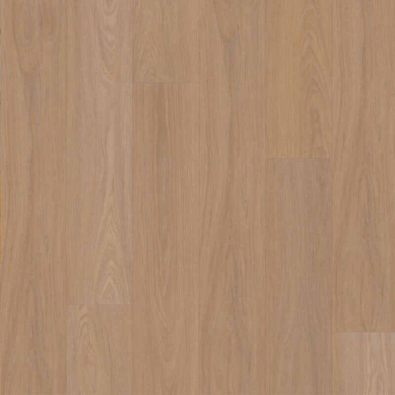 Click Eiken Bologna 7870