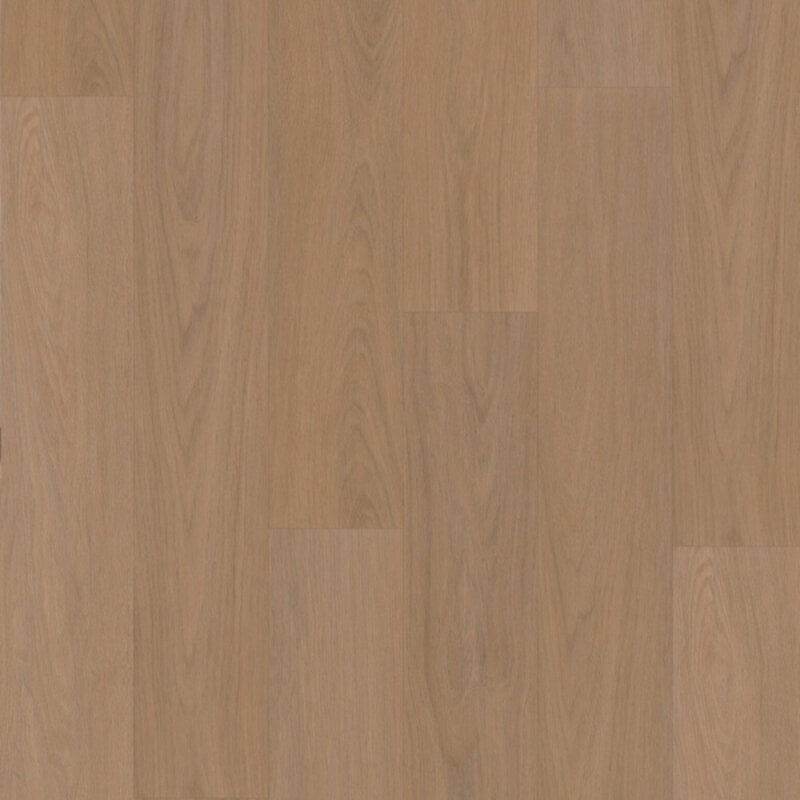 Click Eiken Bologna 7880