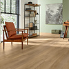 Lijmstrook River Oak Danube 63022