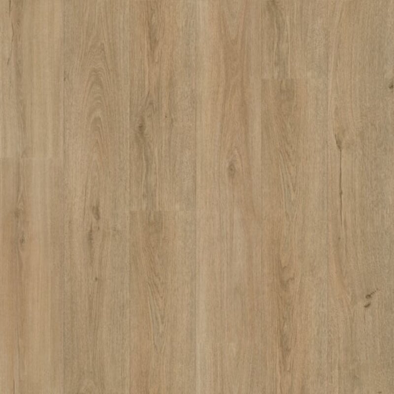 Lijmstrook Eiken Luxor 7240