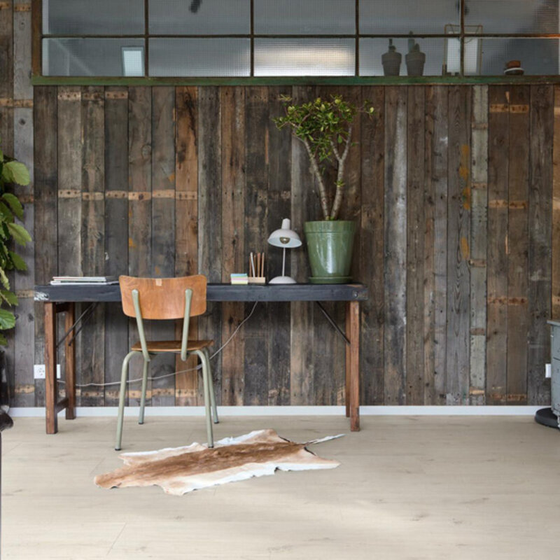 Click Next DD 500 S Scandic Oak 7115