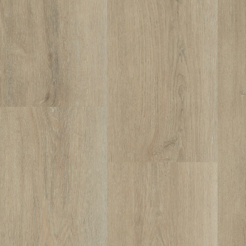 Montinique Click Charente XL 5547