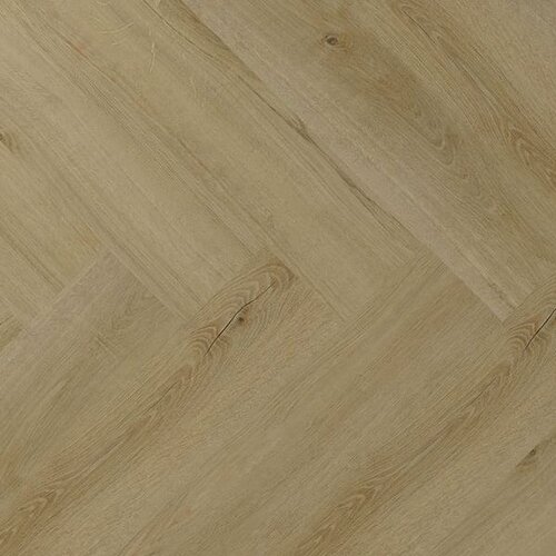 Montinique Click Clermont Visgraat XL 57822