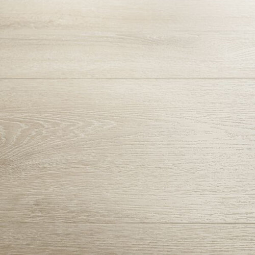 Montinique Click Progress XL 55816