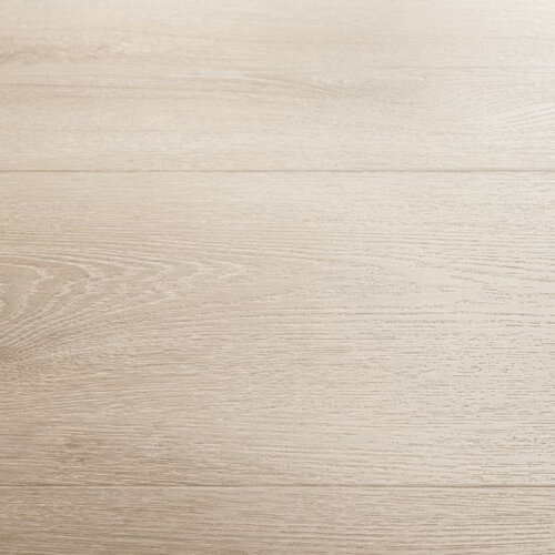 Montinique Click Progress XL 55817