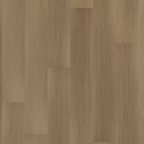 Room 5 Lijmstrook Regency Wood Planks 555100107