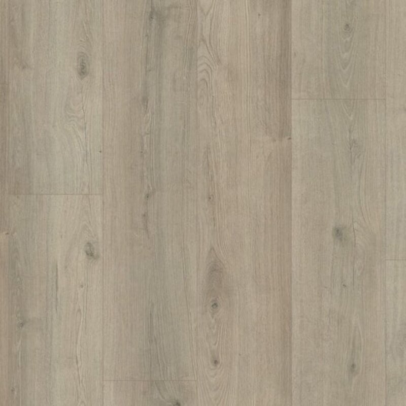 Forest Hills Grijsbeige Eiken 4019