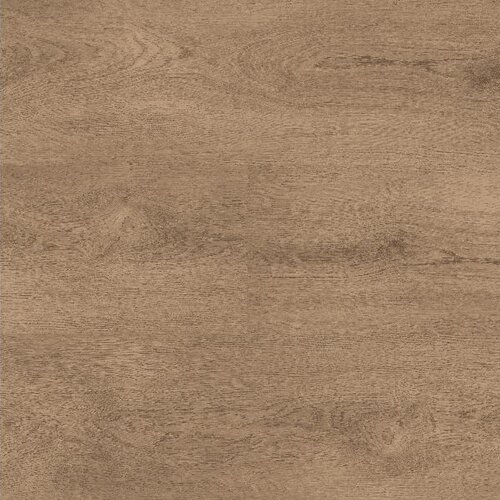 Montinique Lijmstrook Clermont XL 54824