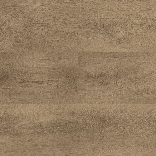 Montinique Lijmstrook Clermont XL 54825