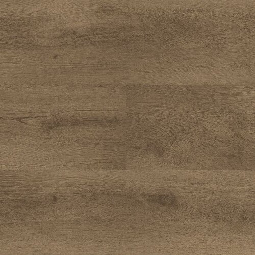 Montinique Lijmstrook Clermont XL 54826