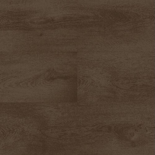 Montinique Lijmstrook Clermont XL 54827
