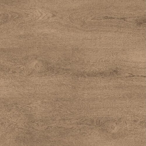 Montinique Click Clermont XL 55824