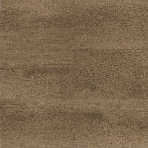 Montinique Click Clermont XL 55826