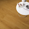 Odense Schemering Eik L0363-06797
