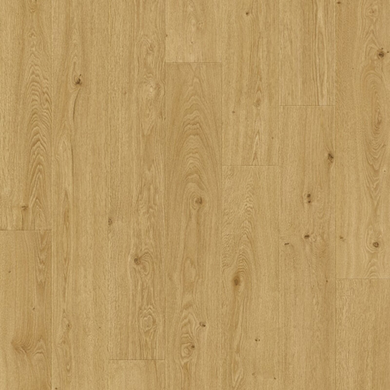 Odense Pro Zonnewende Eik L0263-06800