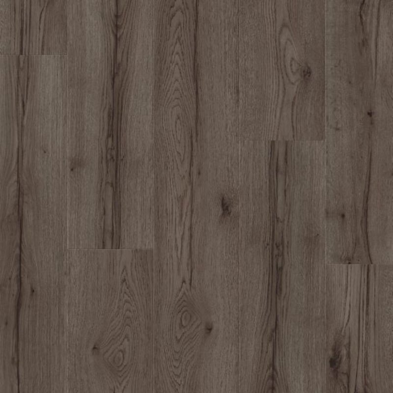 Stavanger Rivierrots Eik L0345-05004