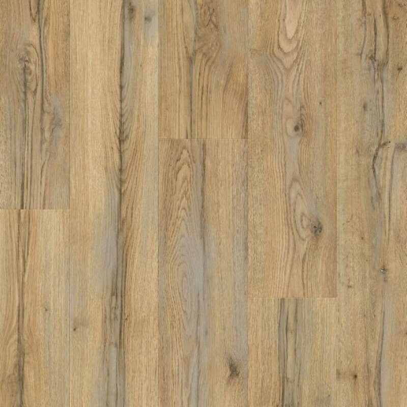 Stavanger Pro Atelier Eik L0245-05006