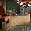 Stavanger Pro Vallei Eik L0245-04995