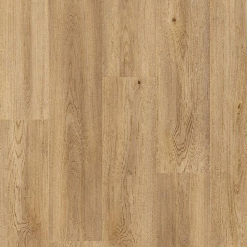 Stavanger Vallei Eik L0345-04995