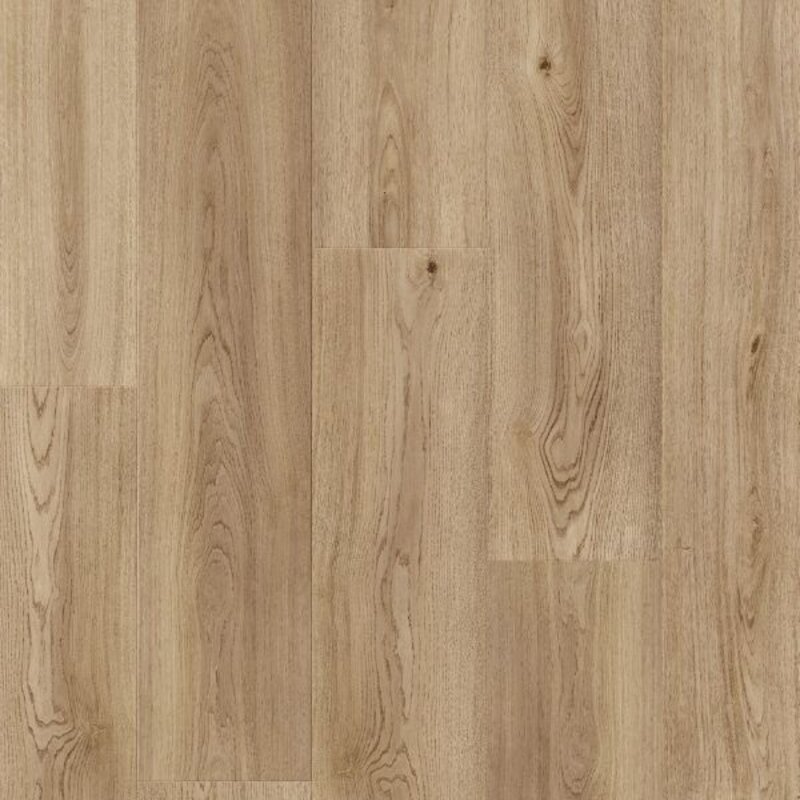 Stavanger Pro Abdij Eik L0245-04996