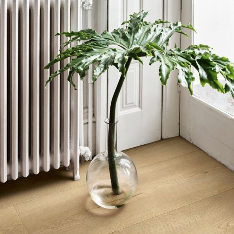Stavanger Pro Haven Eik L0245-05002