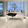 Drammen Wit Duistere Eik L0348-05015