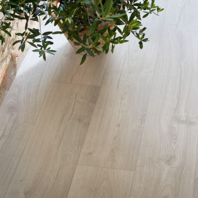 Visby Pro Nieuw Engeland Eik L0231-03369