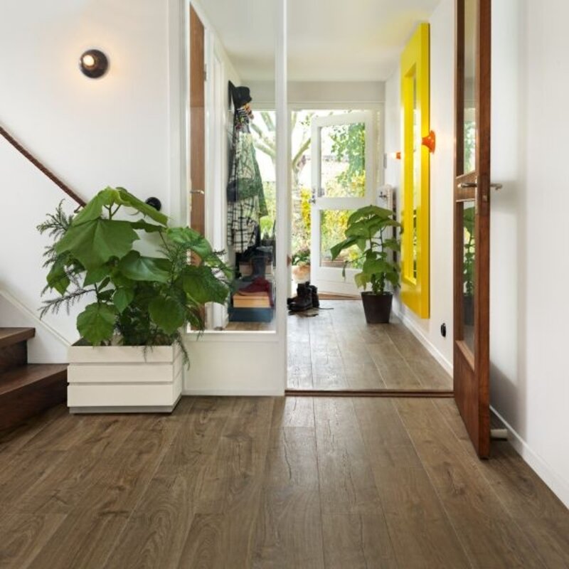 Visby Pro Boerderij Eik L0231-03371