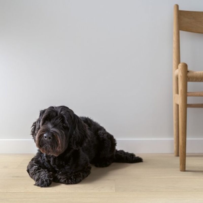 Lofoten Arctische Eik W1216-03572-3