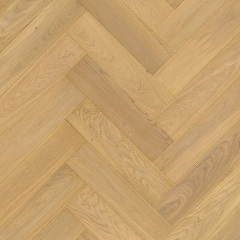 Visgraat Saltholm Natuur Eik W4167-05115