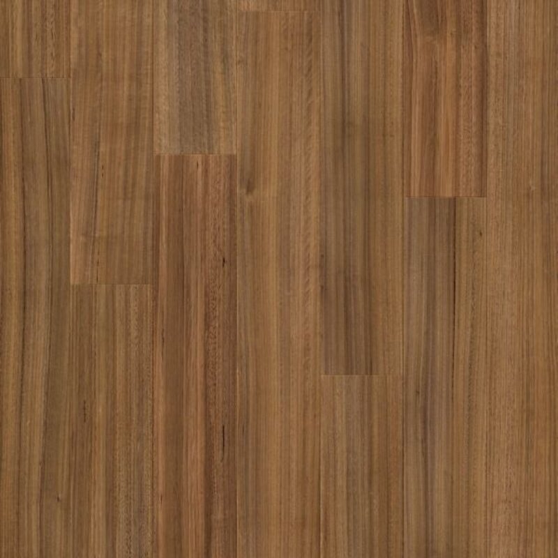 Arendal Pro Tasmaanse Eik L0239-04317