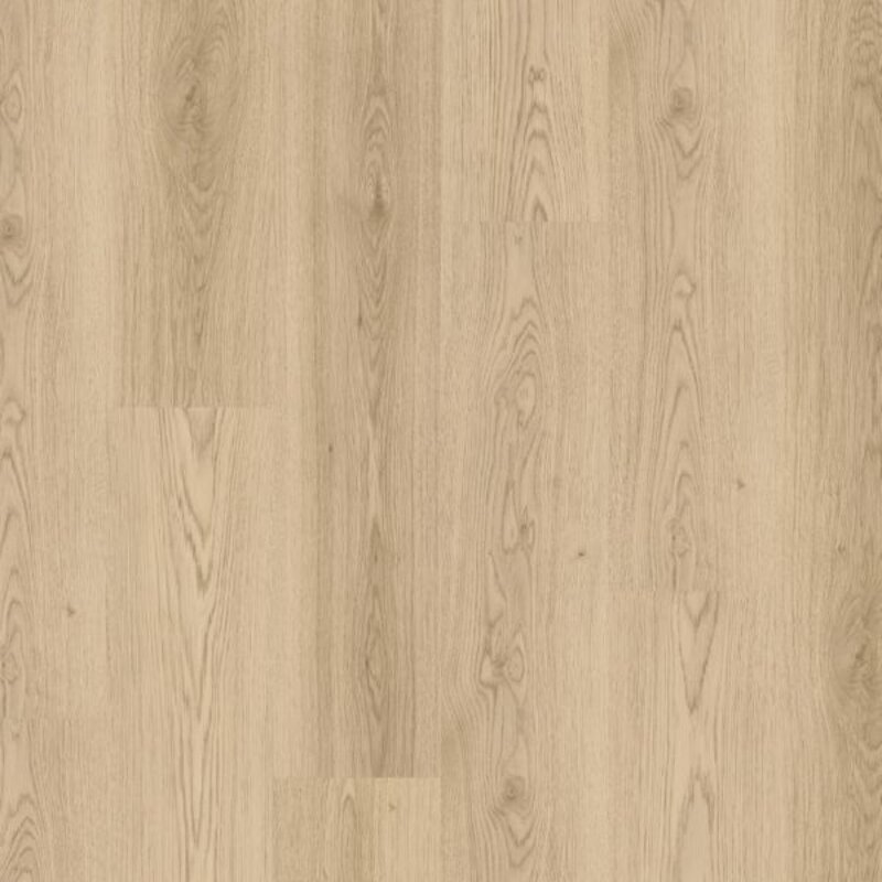 Espoo 0V Rivier Eik L0364-04389