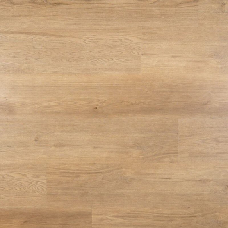 Lijmstrook Plank Lux 95094