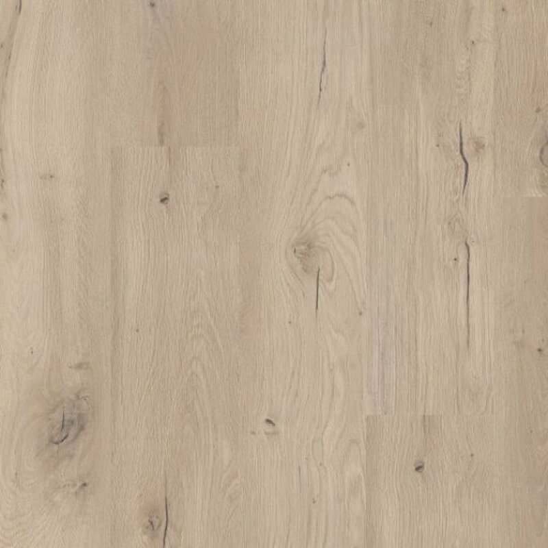 Lijmstrook Flexile 1200 Forest 50 FLX 806