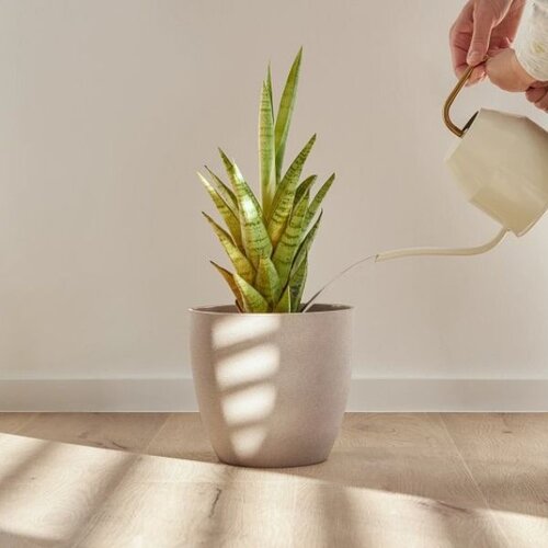 COREtec Lijmstrook Flexile 1200 Forest 50 FLX 806