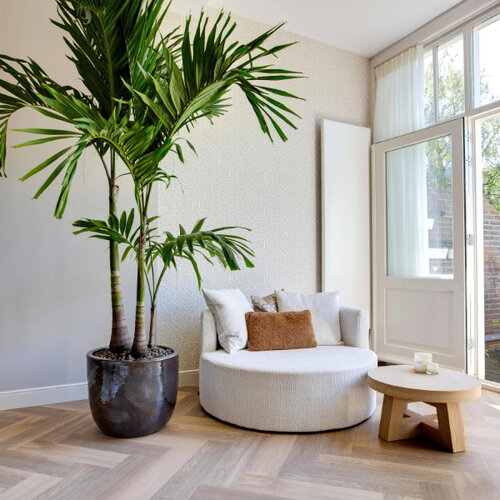 Therdex Lijmstrook Visgraat Premium Serie 7004