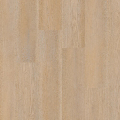 Therdex Lijmstrook Premier Serie 15080