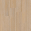 Click Premier Serie C15080