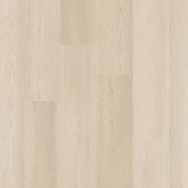 Click Premier Serie C15081