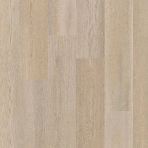 Therdex Click Premier Serie C15083