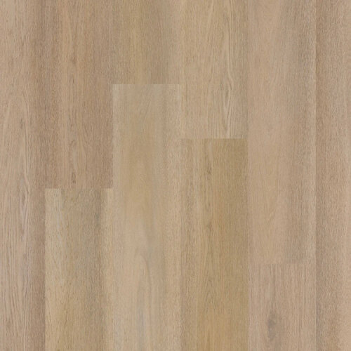 Therdex Click Premier Serie C15084