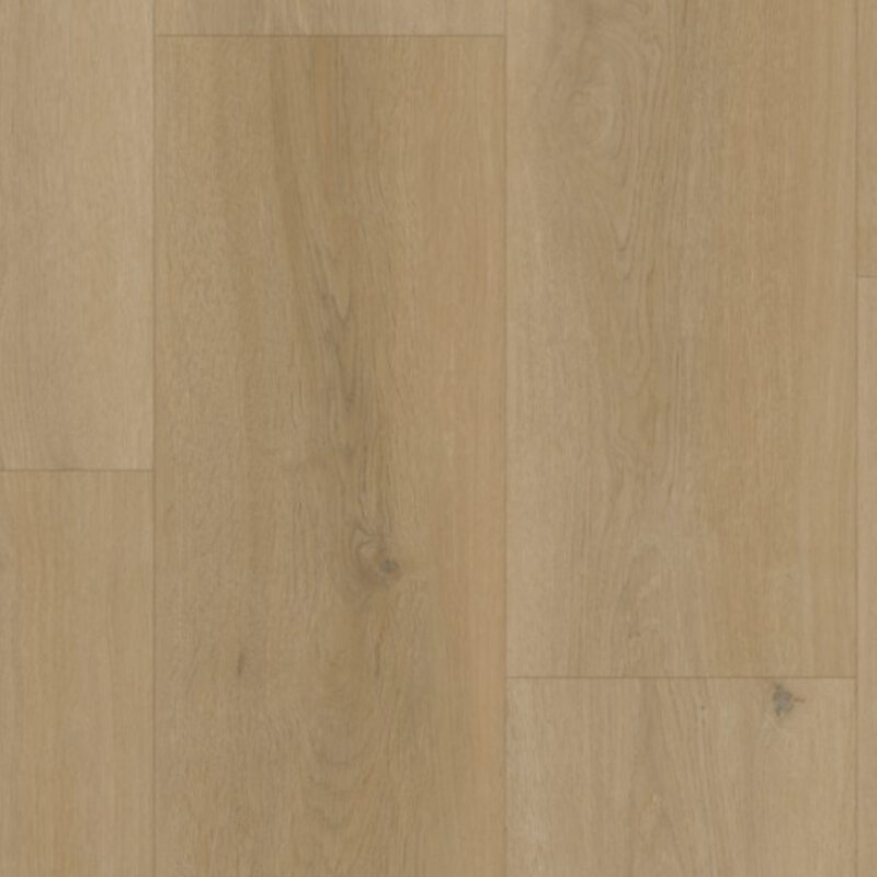 Click Thor BP500 Silt 531