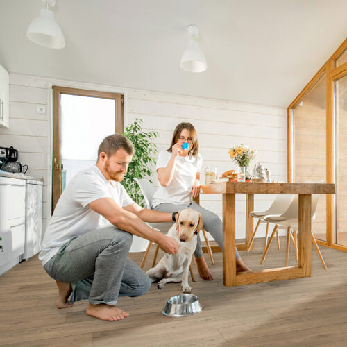 Bodiax Lijmstrook Varuna BP390 Gerookt Eiken 392
